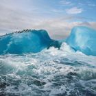 MARIA STENZEL, 2006: Zahlreiche Pinguine auf blauem Eisberg im stürmischen Meer, unter bewölktem Himmel.