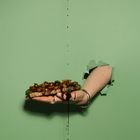 Eine Hand hält ein belegtes Brot mit Sauce darüber. Sie kommt durch ein Loch in einer grünen Wand.