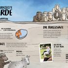 Ein Comic-Style mit Texten über Schafe und andere Tiere, humorvoll beschrieben; inklusive kleiner Bilder und Illustrationen.