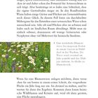 „Aushagerung richtig gemacht“. Text über Gartenpflege und Mähregime zur Förderung artenreicher Wiesen. Bild von Blumenwiese.