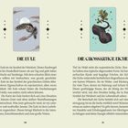 "Die Eule" links, "Die großartige Eiche" rechts. Zwei Illustrationen: eine fliegende Eule, eine Eiche mit Blättern.