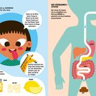 "Schmecken", "Das Verdauungssystem", "Bitter", "Süß", "Salzig", "Sauer". Kind mit Zunge draußen, Verdauungsgrafik.
