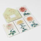 Texte in asiatischen Schriftzeichen. Illustration von vier Chrysanthemen-Blüten in verschiedenen Farben und Umschlag.
