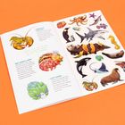 Links Text: „AMERICAN LOBSTER“, „RED HERMIT CRAB“, „LEAF SHEEP“. Rechts Tierillustrationen auf weißem und orangem Hintergrund.