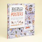 "BIRD ANATOMY POSTERS, 28 Pull-Out Prints That Celebrate the World's Feathered Creatures, Julia Rothman." Illustrationen von Vögeln.