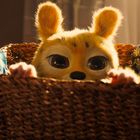 Ein pelziges Wesen mit großen Augen und gelbem Fell schaut aus einem geflochtenen Korb, umgeben von einem gemusterten Tuch.