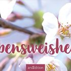 „WOCHENPLANER 2027 Lebensweisheiten“ vor Kirschblüten. Logo unten: arsEdition.