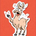 Eine Illustration zeigt ein erschrecktes Lama mit großen Augen auf rotem Hintergrund.