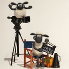 Text auf Filmklappe: „Shaun the Sheep“. Schaf im Regiestuhl, ein Schaf auf Kamera, blaues Kissen, Kürbis, Megafon.