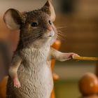 Keine Texte vorhanden. Eine niedliche animierte Maus hält ein großes Streichholz, umgeben von Holzelementen.