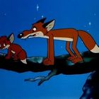 Zwei gezeichnete Füchse auf einem Baumast vor sternenklarem Nachthimmel. Ein kleiner, trauriger Fuchs und ein besorgter großer Fuchs.