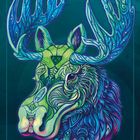 „MOOSE Protection“. Eine farbenfrohe Illustration eines Elchkopfes mit komplexen, dekorativen Mustern und blauen Geweihen.