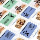 Texte: "Gassirunde", "Fein gemacht". Illustration: Cartoon-Mann mit Zylinder. Fotos: Hunde in verschiedenen Szenen.