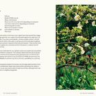 Text: "Apple, Malus domestica, Situation: Full sun, Hardiness..."  
Rechts: Blühender Apfelbaum mit Tulpen im Garten.