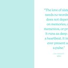 „The love of sisters needs no words...as ever present as a pulse.“ – Lisa Wingate, author. Hellblauer Hintergrund links.