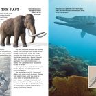 Titel: "Clues to the Past". Links Mammut mit Text und Frau mit Fossilien. Rechts Ichthyosaurus im Meer mit Fossilbild.