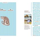 Einführung: From chonseureopda to meotjida. Ein stilisierter, brauner Tiger auf hellblauen Streifen. Text über koreanische Kultur.