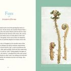 "FERN. Dryopteris filix-mas. Beschreibung des Farns, seine Robustheit und Verbreitung; Illustration von Farnwedeln rechts."