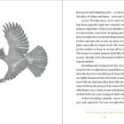 Text: "How Hoarders Plant New Forests" und "53". Illustration eines fliegenden Vogels mit einer Eichel im Schnabel.