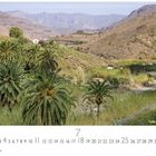 Agaete, Casares Edition. Kalenderblatt mit 7 groß. Üppige Palmenlandschaft vor Hügeln und Bergen im Hintergrund.