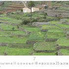 Text: "Landschaft bei Arure". Eine grüne, terrassenartige Landschaft mit Steinmauern, einem Haus und einer Palme.