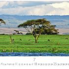 "Lake Naivasha", darunter eine grüne Savannenlandschaft mit Bäumen und grasenden Tieren, im Vordergrund Wasser.