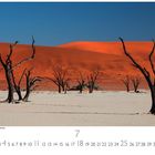 "Abgestorbene Bäume im Deadvlei." Karge, kahle Bäume auf weißem Sand, dahinter rote Dünen und blauer Himmel. Kalenderzahlen unten.