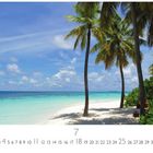 "Aruba, 7" - Ein Strand mit Palmen, türkisfarbenem Wasser, weißem Sand, blauem Himmel und einigen Wolken. Ort der Ruhe.