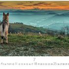 Kalenderseite, Monat Juli mit einem Hund, der auf eine hügelige Landschaft bei Sonnenuntergang blickt.