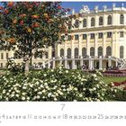„Schloss Schönbrunn“. Prächtiger Palast mit gelber Fassade und üppigem Garten, bunte Blumen im Vordergrund, blauer Himmel.