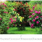 Zahlen von 1 bis 31 unter einem großen 7 im Zentrum. Lebendige Rosensträucher in Rosa, Gelb und Rot auf grünem Gras.