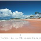 "Mirror Beach" – ein langer Strand mit Palmen und Spiegelung, Kalender mit Daten darunter.