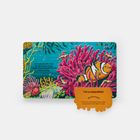 Text im Bild: 

1. "I'm covered with slime so I don't feel a thing, though tentacles touching me carry a sting." 
2. "I'm a clownfish! Did you know? My home is a stinging animal called a sea anemone."

Illustration: Ein Clownfisch schwimmt zwischen rosa Korallen in einem bunten, tropischen Unterwassergebiet.