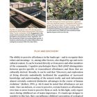 Seite 170. "Wo Samen fallen," Zürich 2018. Beschreibt urbane Vegetation und Umweltauswirkung. Text zu "Play and Discovery".