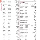 "Lektionswortschatz, Schriftlektion 1. Liste von Ländern und Ausdrücken auf Deutsch und Arabisch. Rechtsbündig."