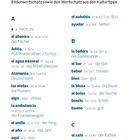 WÖRTERBUCH: Ein Abschnitt listet spanische Wörter von "A" bis "C" mit Übersetzungen und Erklärungen auf.