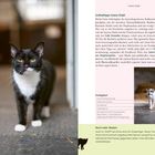 Grätzeltipps Innere Stadt: Café Central, Café Hawelka, Café Neko werden empfohlen. Streifgebiet: srssat, cafecentral. Eine schwarz-weiße Katze im Fokus.