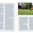 Clara: "Idylle pur. Aber der Anblick täuschte. Mit der Krankheit kamen die Probleme." Ein Pferd grast auf einer Wiese.