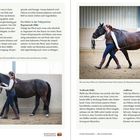 Texte: Zone 2, Pferd, Schultern, Druck, Körpersprache, Führposition, Gerte, Grenzen, Energie, Hilfe, Treibende Hilfe. 

Links Frau führt Pferd; rechts Frau mit Pferd in Bewegung. Elegante, indoor Umgebung mit Sandboden.