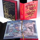 "A COURT OF THORNS AND ROSES", Sarah J. Maas, dtv. Illustrierte Karten und dekorative Buchcover in Rot und Schwarz mit Gold.