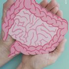 @scevievanskivstudio | Eine Zeichnung eines rosa Darms liegt in zwei Händen auf mintgrünem Hintergrund.