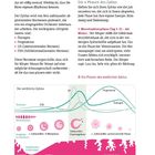 „Die 4 Phasen des Zyklus“ und „Der weibliche Zyklus“. Diagramm zeigt Hormone und Menstruationsphasen.