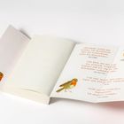 Zitate von Anne Griffin, New York Times, Für Sie, Clare Chambers. Illustration von zwei Rotkehlchen auf den Innenseiten.