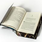 Offenes Buch mit Seitenzahlen 38 und 39. Rechts oben Kapitel 3: Caspia. Dunkler Einband mit floralem Muster.