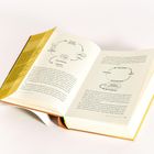 Eine offene Buchseite zeigt zwei Diagramme mit Kreisläufen zu Dopamin und Belohnung; Fließtext ist sichtbar. Seitenrand gelb.