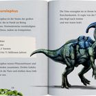 Text über Parasaurolophus, Länge 9 m, Höhe 4 m, Gewicht 2,5 t, vor 84-71 Mio. Jahren. Illustration eines Dinosauriers rechts.