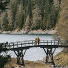 Zwei Personen stehen auf einer Holzbrücke über einem See, umgeben von Nadelbäumen und steinigem Ufer.