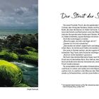 "Der Streit der Schweinehirten" erzählt von Freundschaft und Konflikt. Links eine Küstenlandschaft mit grün bemoosten Felsen.