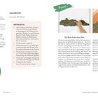 Links stehende Texte:
- **Farben**: Bedeutung & Wirkung verschiedener Farben beschrieben wie "Gebr. Siena".
- **Tipp**: Stark gebogene Rinde lässt sich schwer fixieren.

Rechts Bildbeschreibung:
- Zwei Schritte beim Auftragen von Material; Rinde wird im kreativen Prozess verwendet.