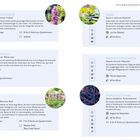 Pflanzenporträts von Sonnenstauden: Ährige Prachtscharte, Balkan-Bärenklau, Salbei, Geaderte Katzenminze, Ehrenpreis, Purpur-Fetthenne.